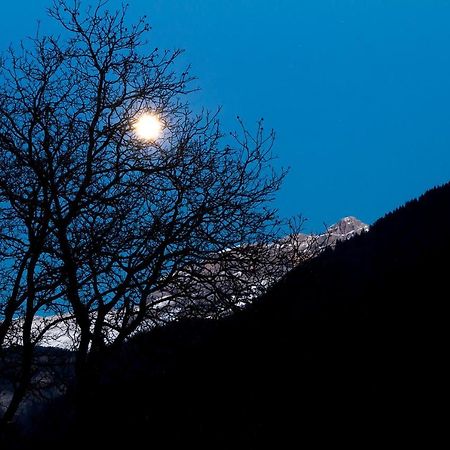 Dolomiti Di Brenta House Apartment มาดอนนาดีกัมปิโญ ภายนอก รูปภาพ