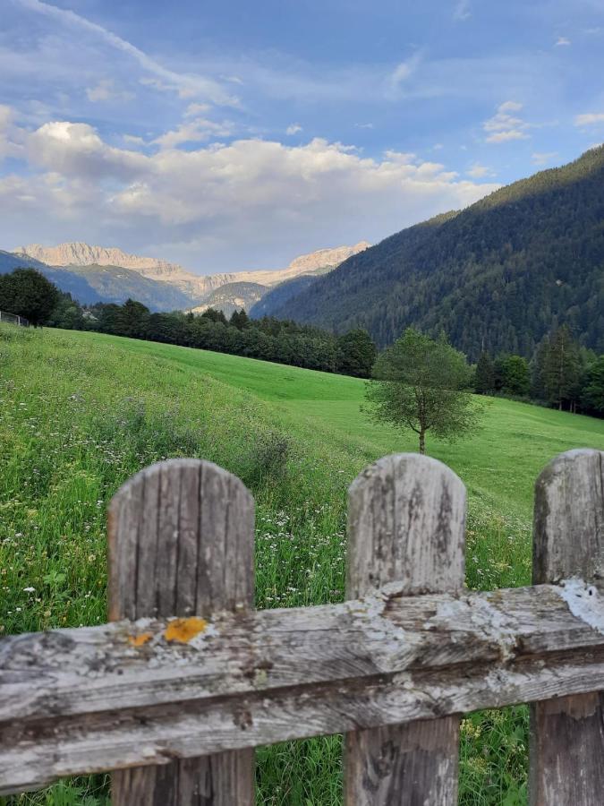 Dolomiti Di Brenta House Apartment มาดอนนาดีกัมปิโญ ภายนอก รูปภาพ