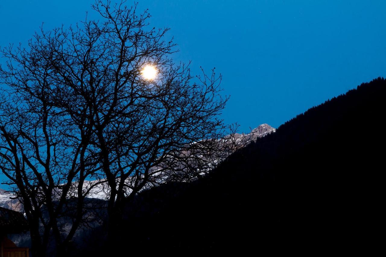 Dolomiti Di Brenta House Apartment มาดอนนาดีกัมปิโญ ภายนอก รูปภาพ