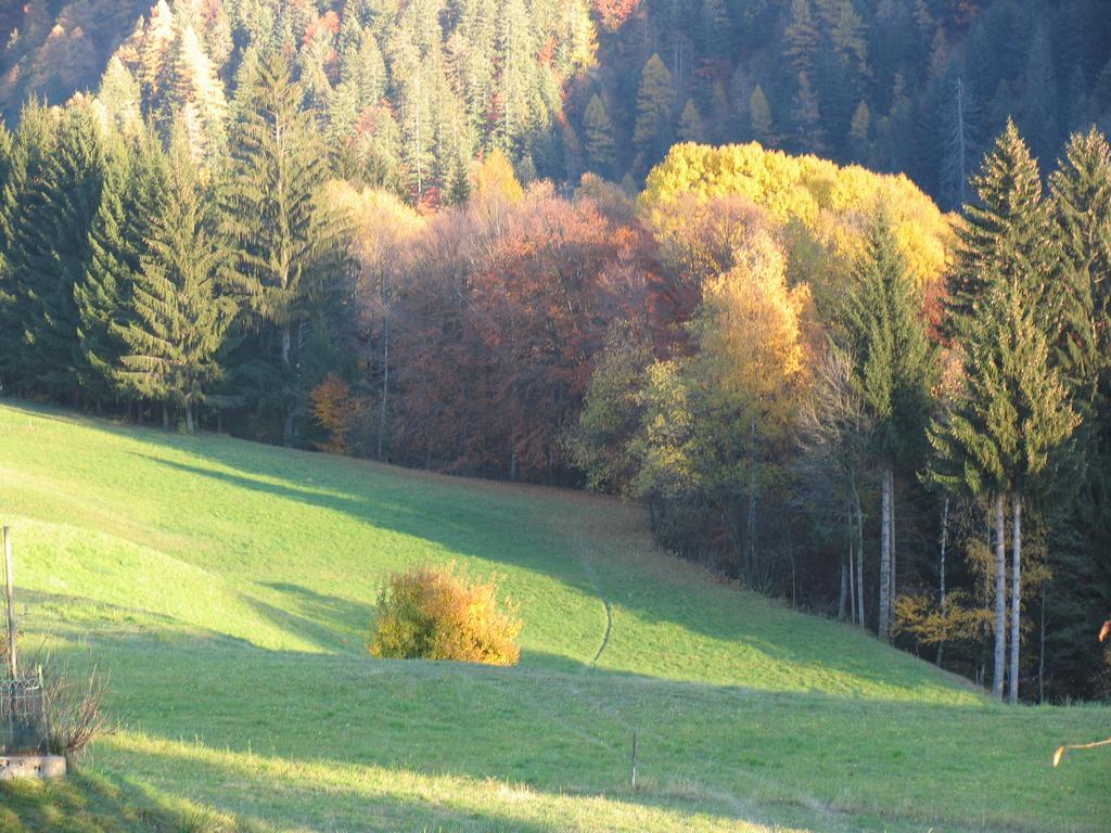 Dolomiti Di Brenta House Apartment มาดอนนาดีกัมปิโญ ห้อง รูปภาพ