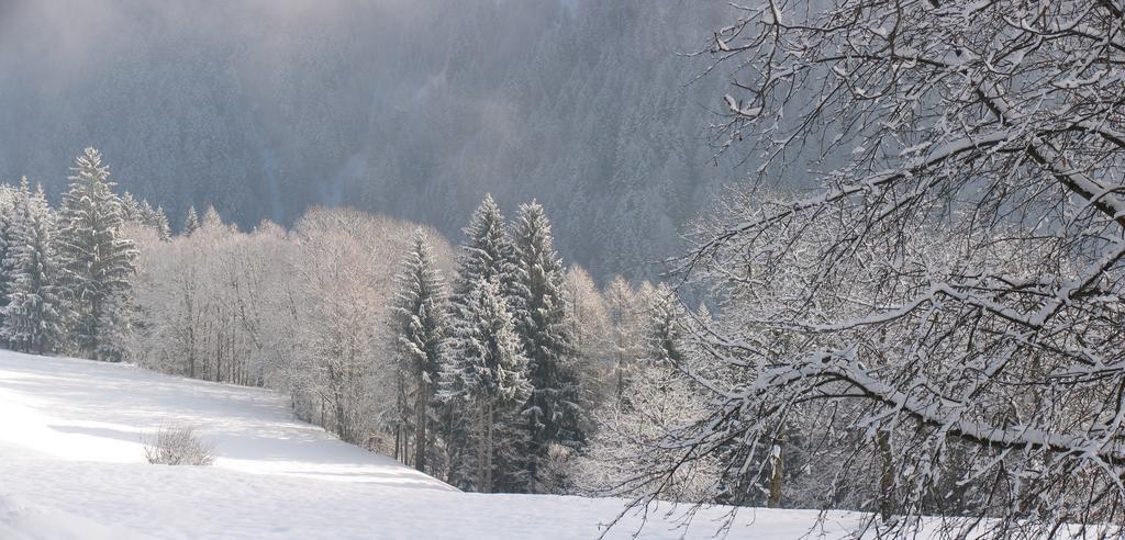 Dolomiti Di Brenta House Apartment มาดอนนาดีกัมปิโญ ห้อง รูปภาพ